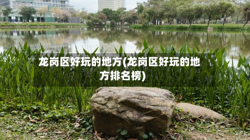 龙岗区好玩的地方(龙岗区好玩的地方排名榜)-第2张图片