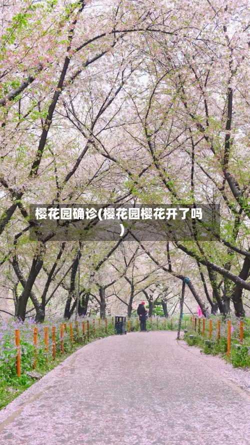 樱花园确诊(樱花园樱花开了吗)