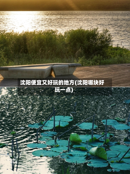 沈阳便宜又好玩的地方(沈阳哪块好玩一点)