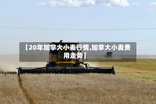 【20年加拿大小麦行情,加拿大小麦费用走势】-第3张图片