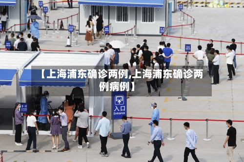 【上海浦东确诊两例,上海浦东确诊两例病例】-第2张图片