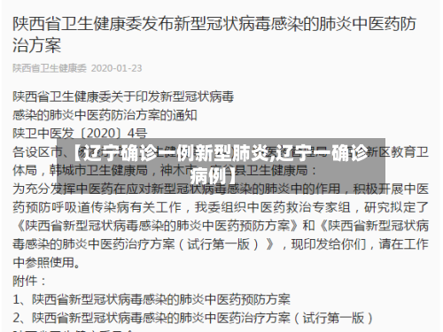 【辽宁确诊一例新型肺炎,辽宁一确诊病例】