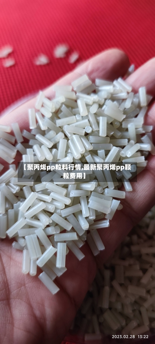 【聚丙烯pp粒料行情,最新聚丙烯pp颗粒费用】