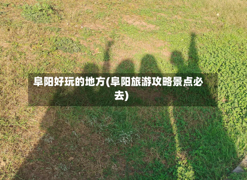 阜阳好玩的地方(阜阳旅游攻略景点必去)
