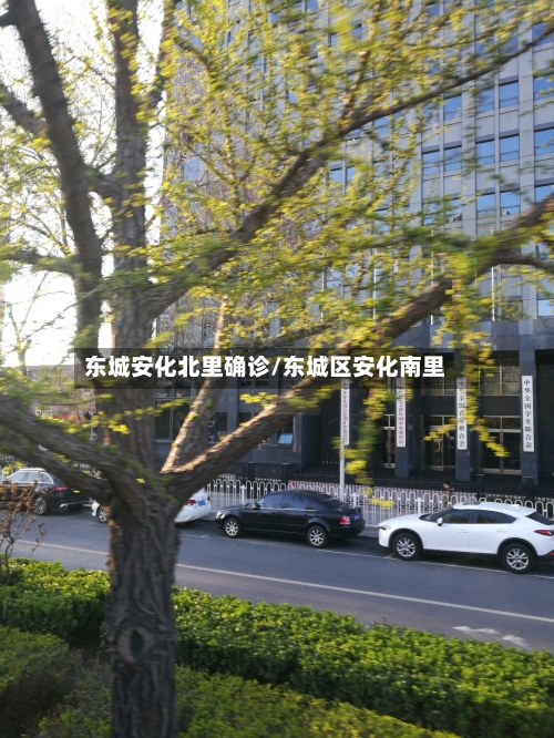 东城安化北里确诊/东城区安化南里-第2张图片