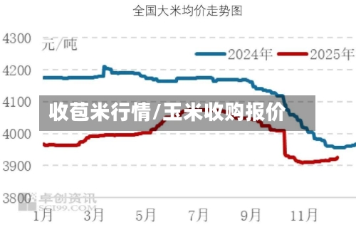 收苞米行情/玉米收购报价