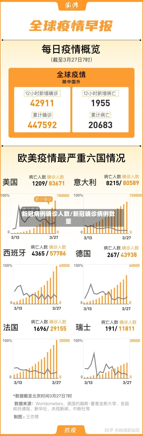 新冠病例确诊人数/新冠确诊病例数量