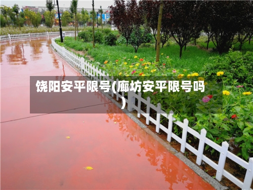 饶阳安平限号(廊坊安平限号吗)-第2张图片