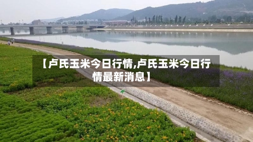 【卢氏玉米今日行情,卢氏玉米今日行情最新消息】-第1张图片