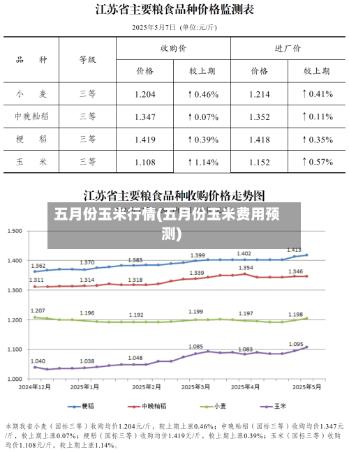 五月份玉米行情(五月份玉米费用预测)-第1张图片