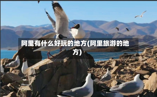 阿里有什么好玩的地方(阿里旅游的地方)-第3张图片