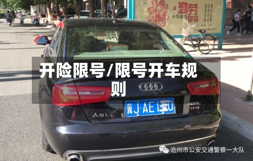 开险限号/限号开车规则