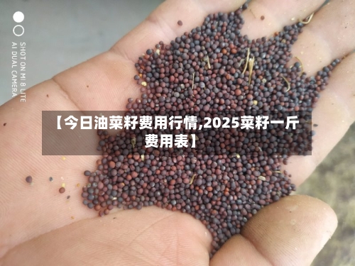 【今日油菜籽费用行情,2025菜籽一斤费用表】-第2张图片