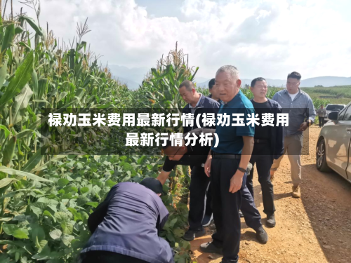 禄劝玉米费用最新行情(禄劝玉米费用最新行情分析)-第2张图片