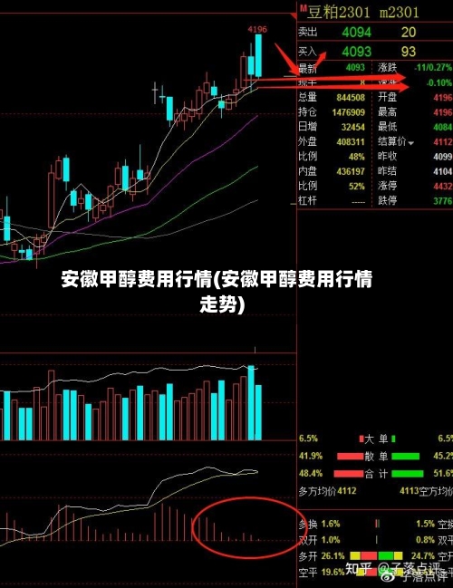 安徽甲醇费用行情(安徽甲醇费用行情走势)