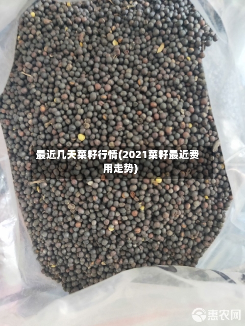 最近几天菜籽行情(2021菜籽最近费用走势)