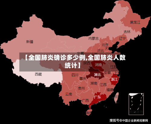 【全国肺炎确诊多少例,全国肺炎人数统计】-第3张图片