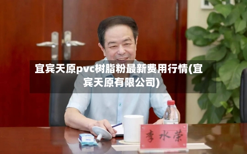 宜宾天原pvc树脂粉最新费用行情(宜宾天原有限公司)-第2张图片