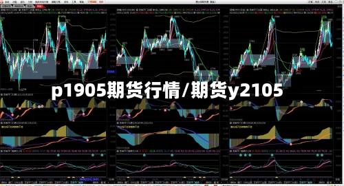 p1905期货行情/期货y2105-第2张图片