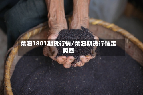 菜油1801期货行情/菜油期货行情走势图