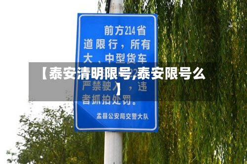 【泰安清明限号,泰安限号么】-第3张图片
