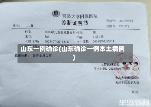 山东一例确诊(山东确诊一例本土病例)-第3张图片