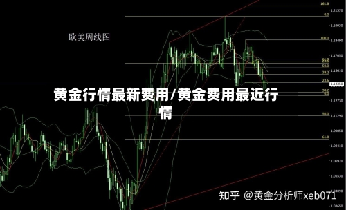 黄金行情最新费用/黄金费用最近行情