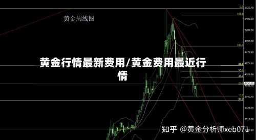 黄金行情最新费用/黄金费用最近行情-第2张图片