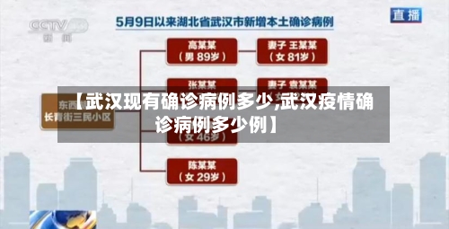 【武汉现有确诊病例多少,武汉疫情确诊病例多少例】