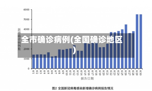 全市确诊病例(全国确诊地区)-第2张图片
