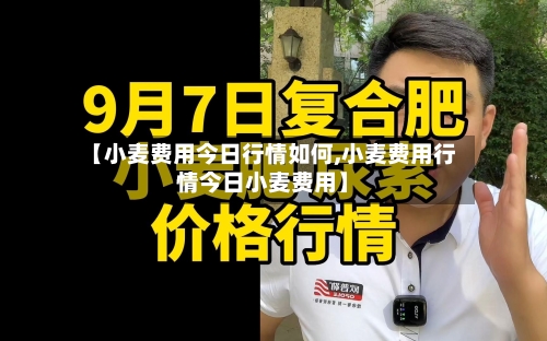 【小麦费用今日行情如何,小麦费用行情今日小麦费用】-第2张图片