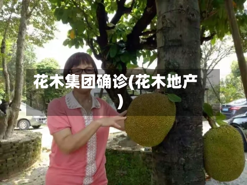 花木集团确诊(花木地产)-第3张图片