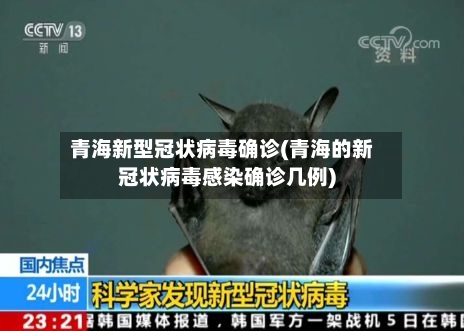 青海新型冠状病毒确诊(青海的新冠状病毒感染确诊几例)