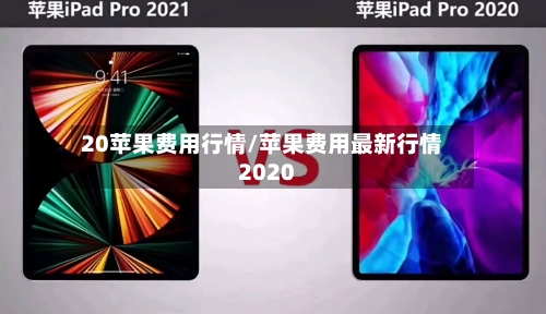 20苹果费用行情/苹果费用最新行情2020