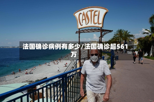 法国确诊病例有多少/法国确诊超561万-第2张图片