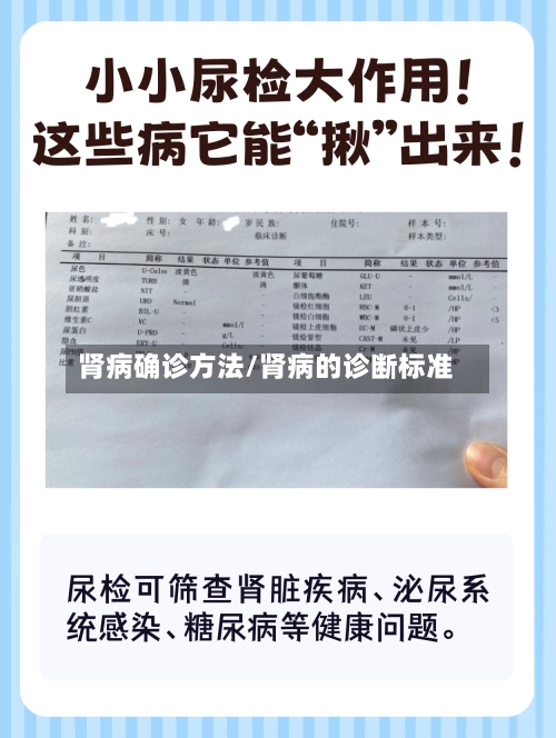 肾病确诊方法/肾病的诊断标准-第2张图片