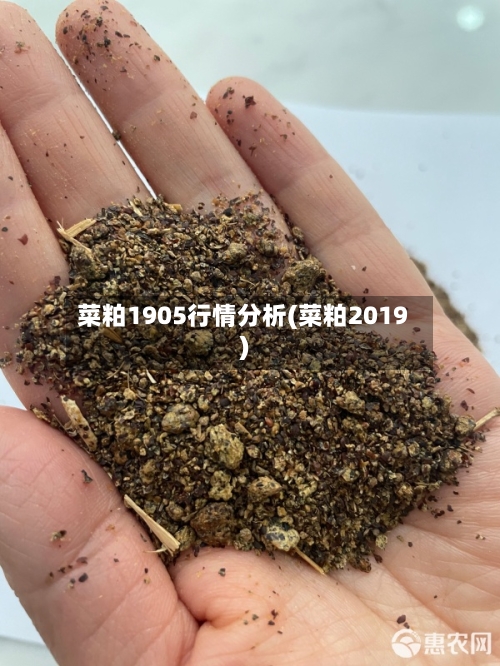 菜粕1905行情分析(菜粕2019)