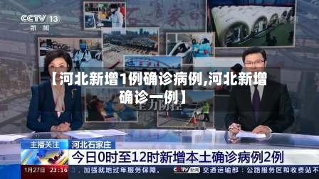 【河北新增1例确诊病例,河北新增确诊一例】-第2张图片