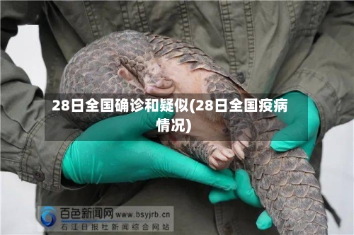 28日全国确诊和疑似(28日全国疫病情况)