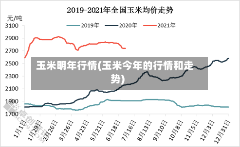 玉米明年行情(玉米今年的行情和走势)-第2张图片