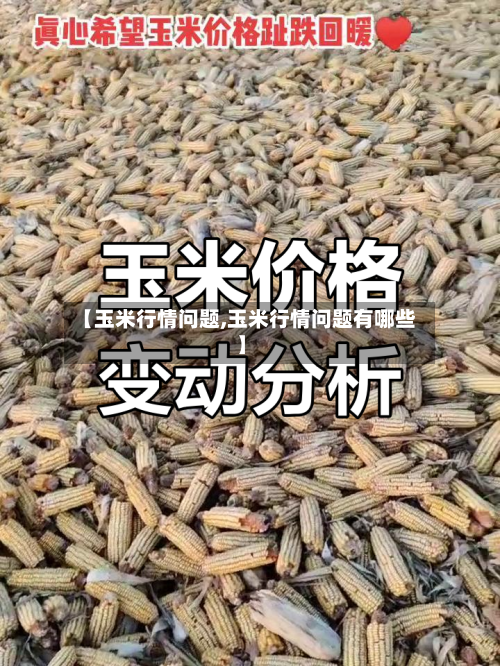 【玉米行情问题,玉米行情问题有哪些】-第2张图片