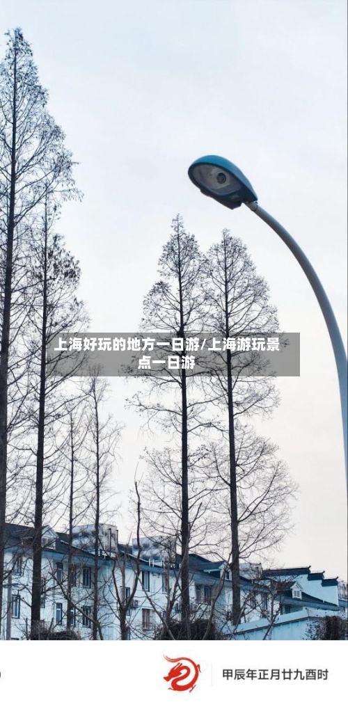 上海好玩的地方一日游/上海游玩景点一日游-第3张图片