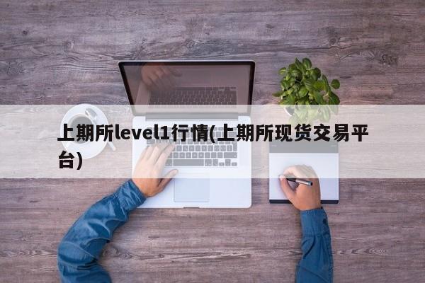 上期所level1行情(上期所现货交易平台)