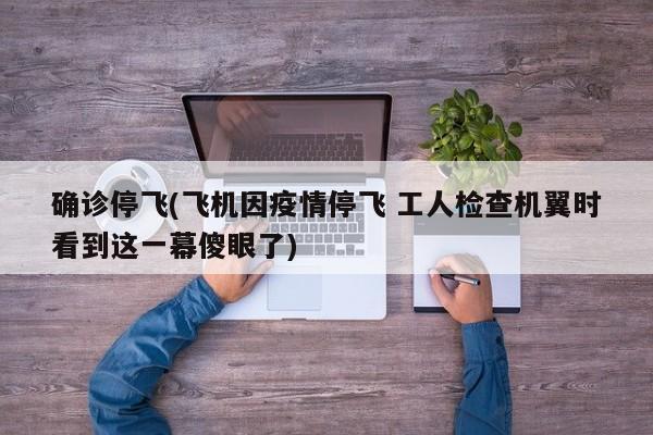 确诊停飞(飞机因疫情停飞 工人检查机翼时看到这一幕傻眼了)