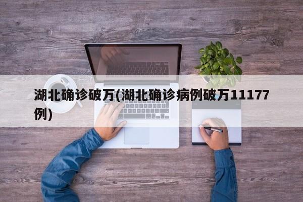 湖北确诊破万(湖北确诊病例破万11177例)