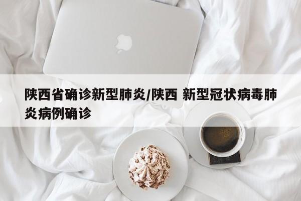 陕西省确诊新型肺炎/陕西 新型冠状病毒肺炎病例确诊