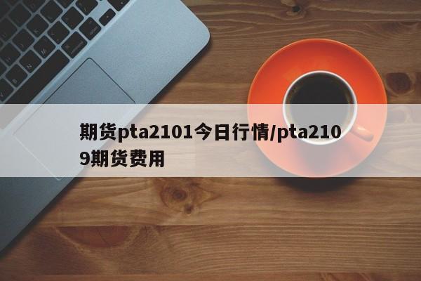 期货pta2101今日行情/pta2109期货费用