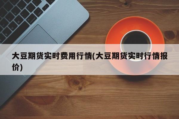大豆期货实时费用行情(大豆期货实时行情报价)