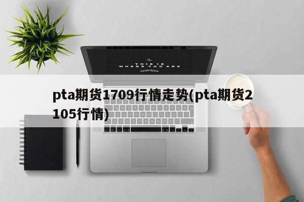 pta期货1709行情走势(pta期货2105行情)