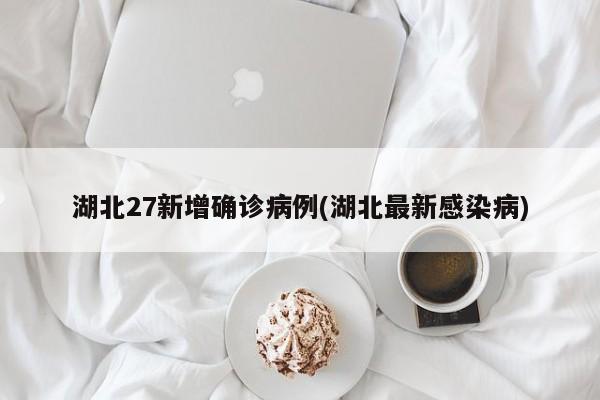 湖北27新增确诊病例(湖北最新感染病)